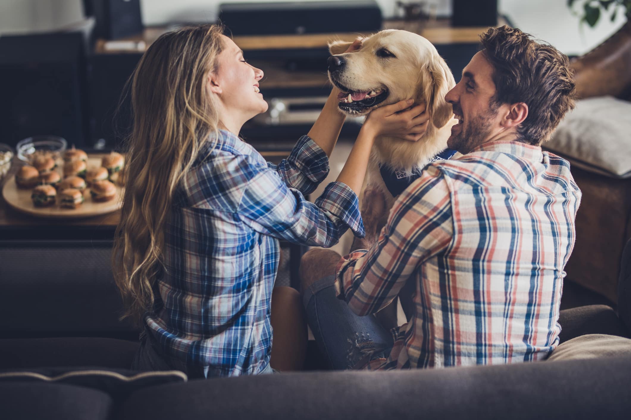 Are Dogs Really Smiling at Us?