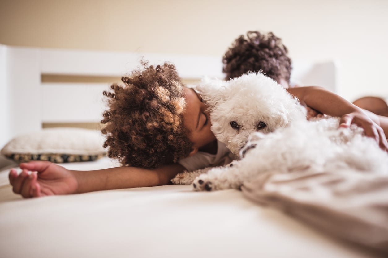 10 Best Dogs for a Home With Kids