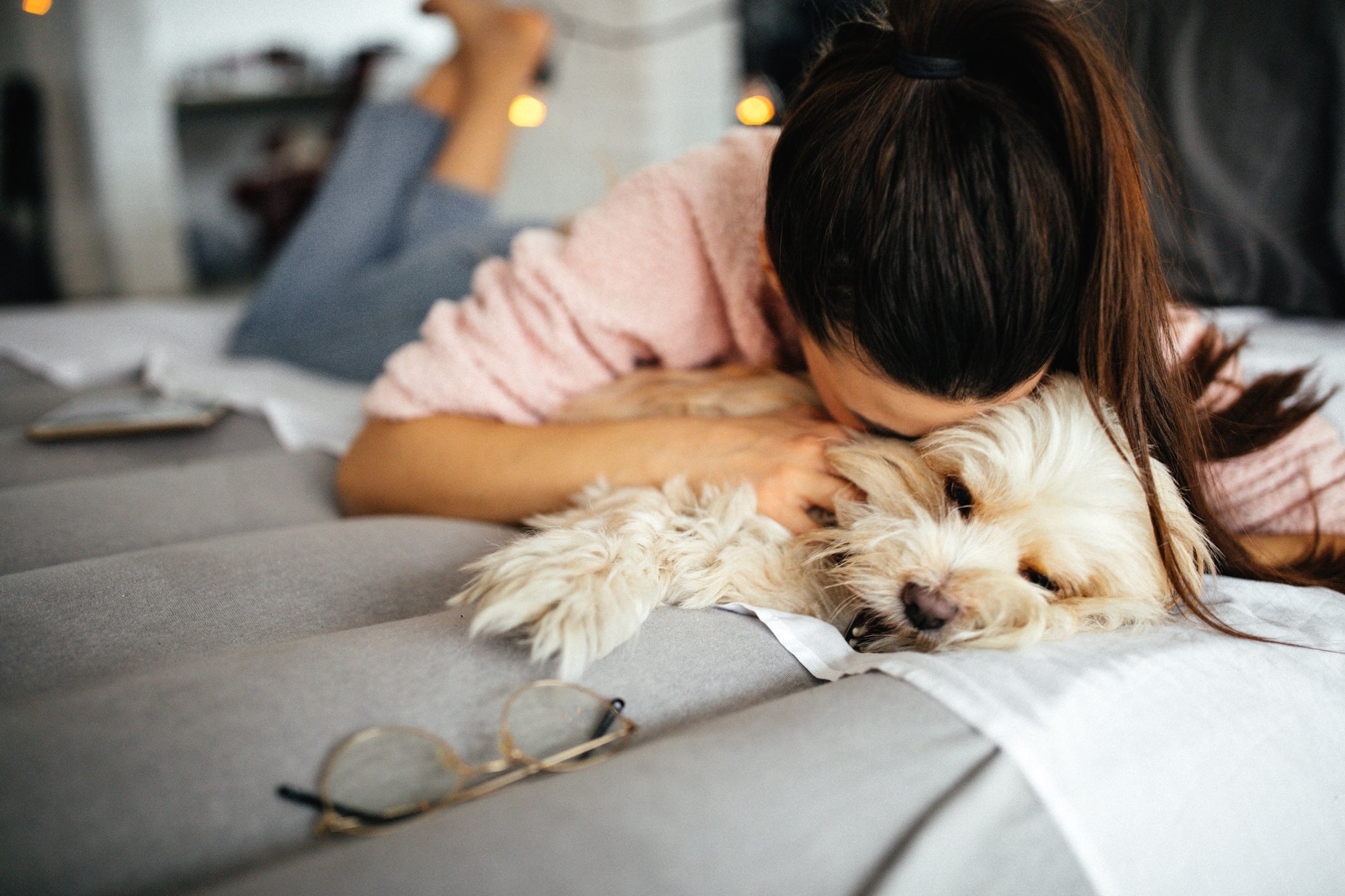 Best Lap Dog Breeds If You Crave A Good Cuddle