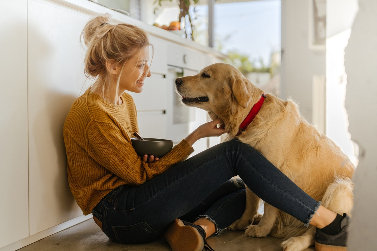 Should You Use CBD for Dogs?