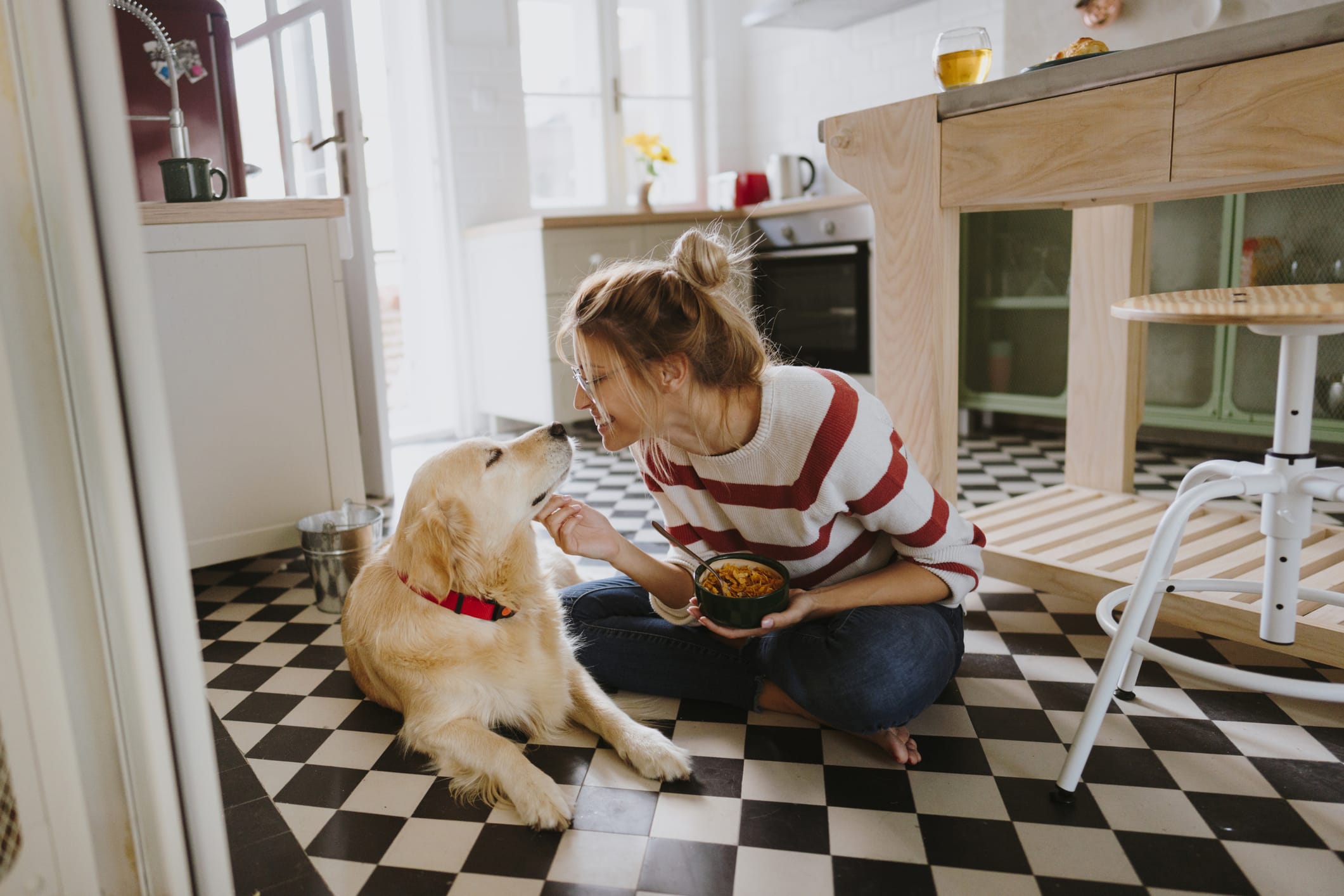 Choosing a Pet Sitter or Boarding: Finding the Best Option for Your Furry Family Member