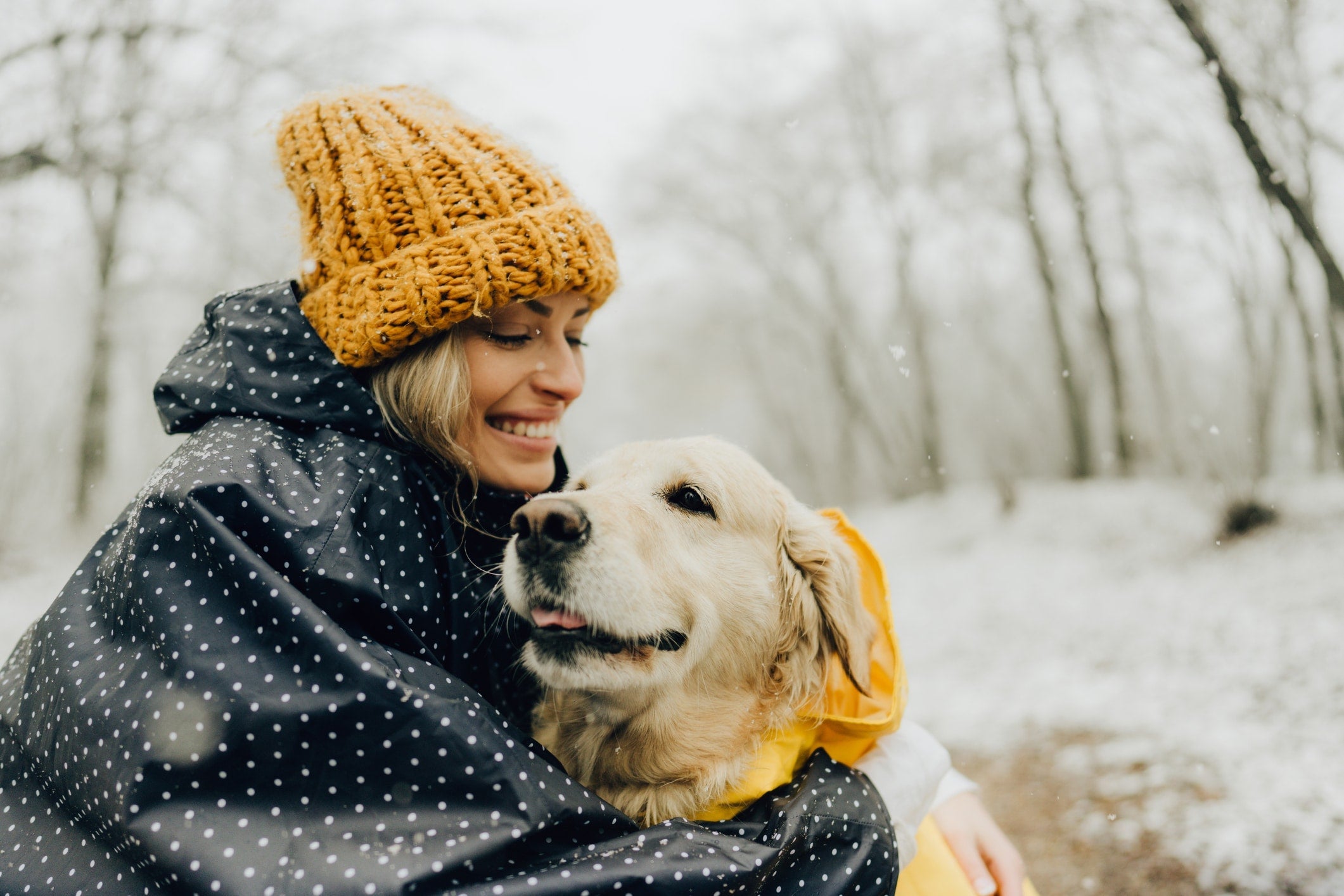 7 Dog Breeds for Colder Regions