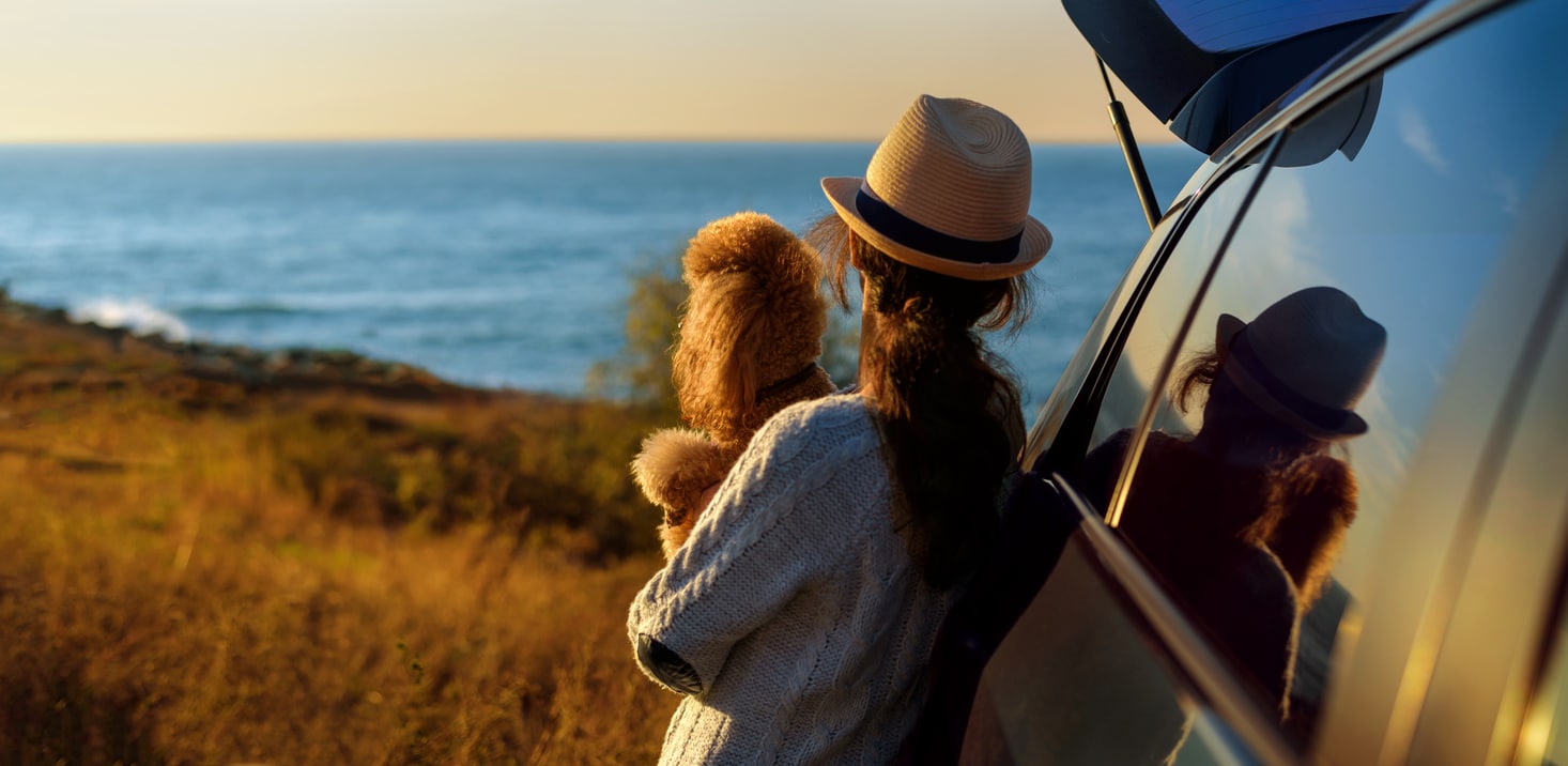 Dog Bucket List: 12 Things You Want to do with Your Dog