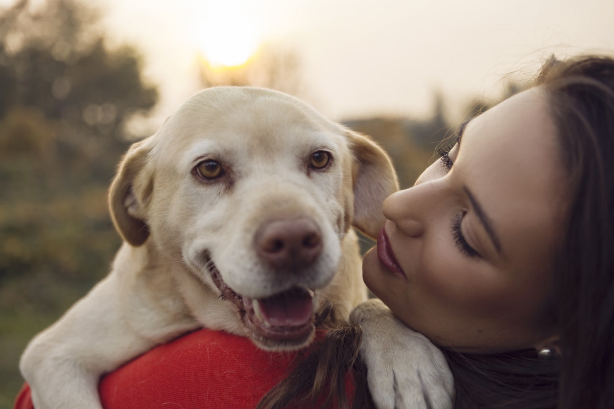 Know What Is In Your Dog Grooming Products | Harmful Ingredients You Must Avoid