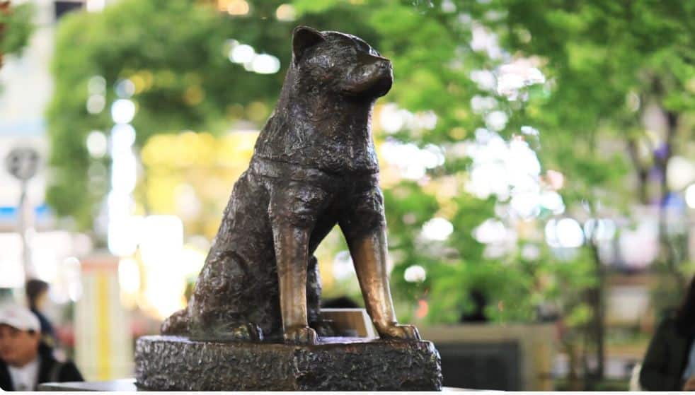 Hachiko Statue in Tokyo: Discover the Legacy of Japan’s Beloved Canine Icon