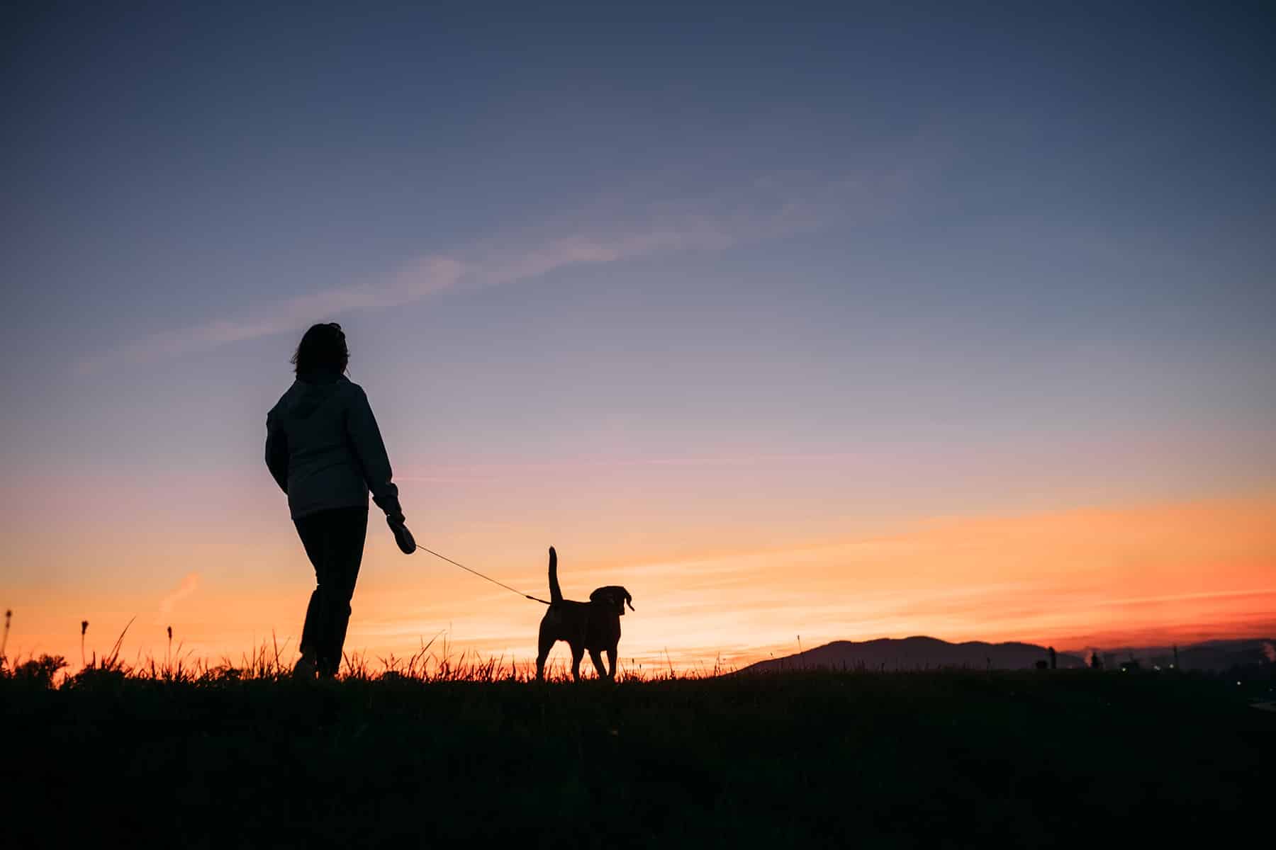 Important Things to Know Before Adopting a Dog