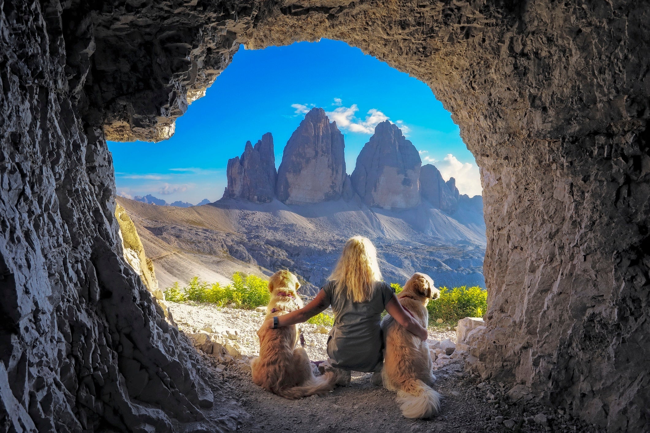 Our dogs’ origins trace back to the Stone Age
