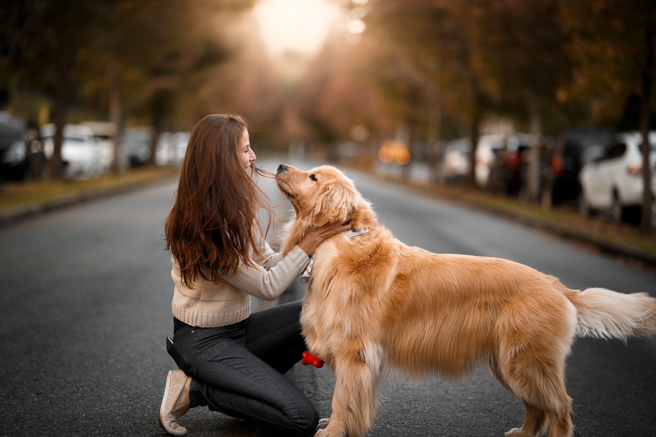 Signs Your Dog is Pregnant