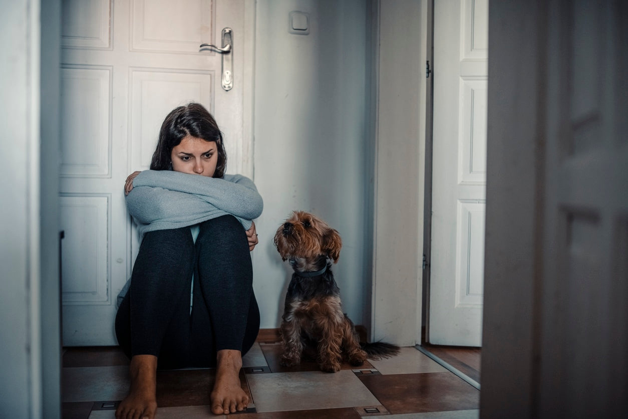 How Dogs Influence Mental Health