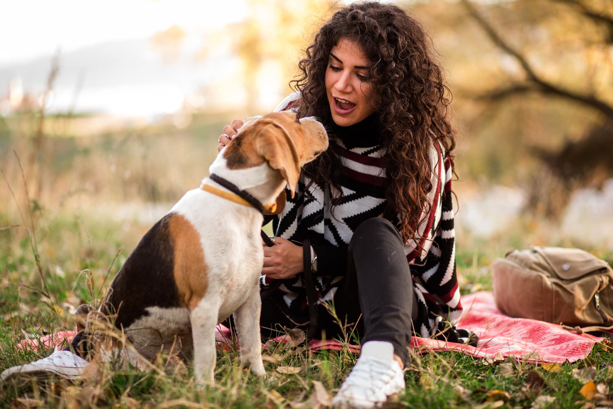 Dogs Understand Humans whey They are Lying to Them
