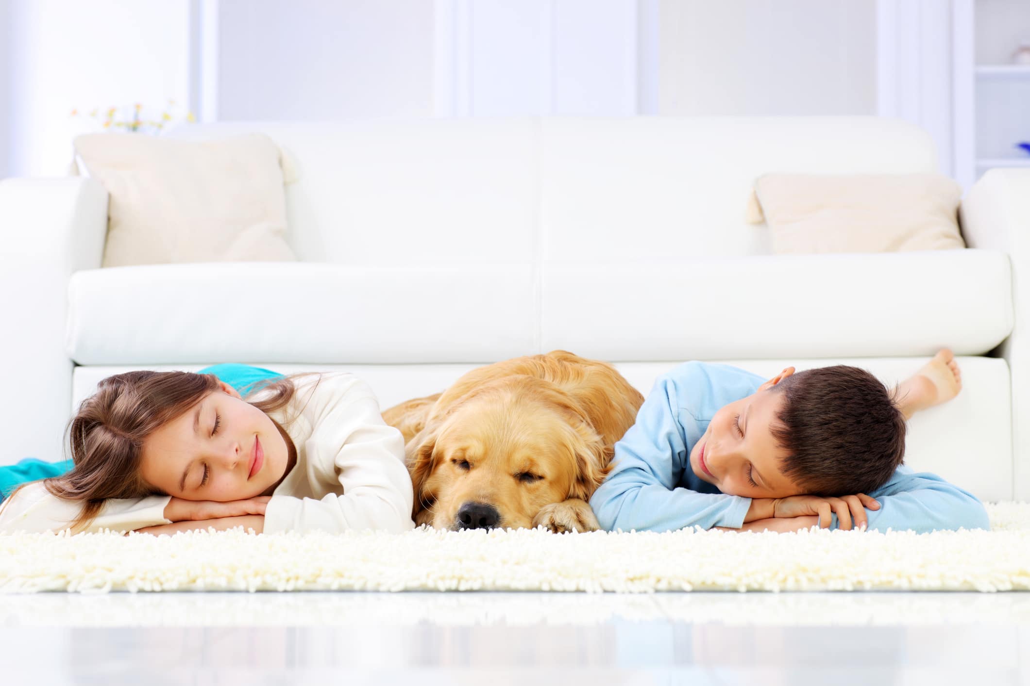 8 Benefits of Dogs and Children Growing Up Together