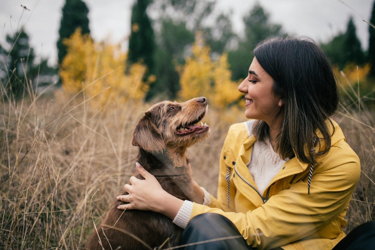 10 Powerful Reasons Why Dogs and Humans Bond So Well