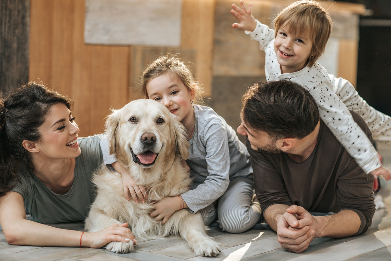 8 Amazing Dogs for Families With Kids!