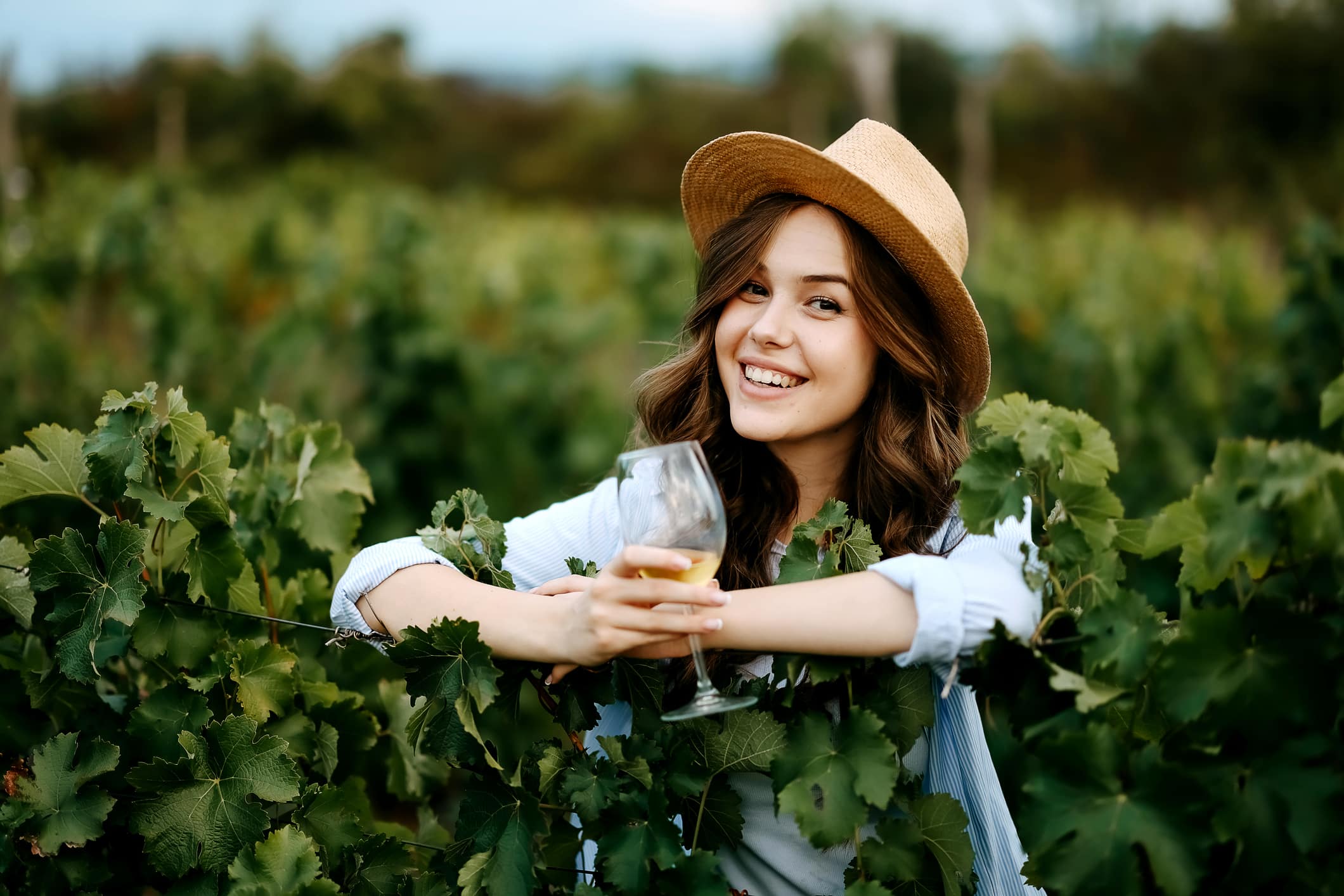Are Grapes Used to Make European Wine from the Western Asian Country of Georgia