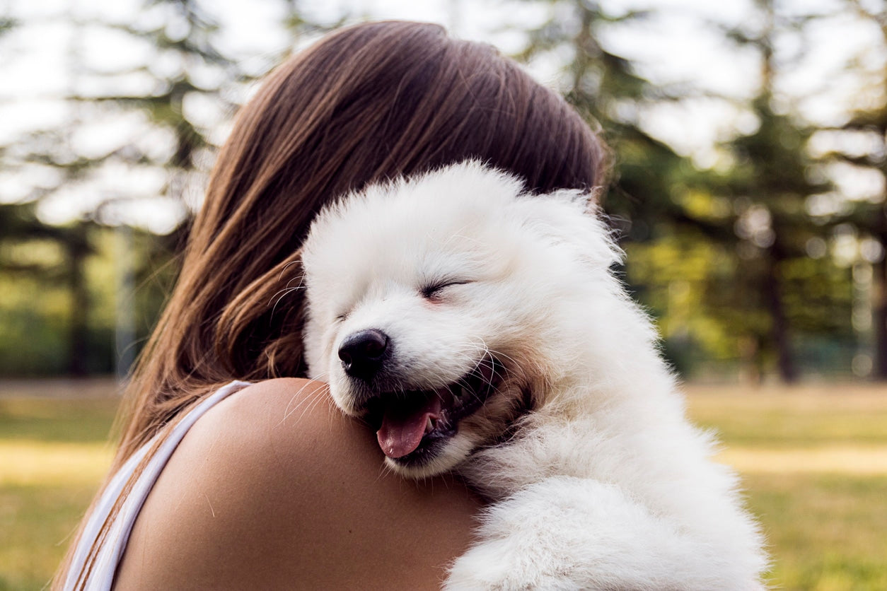 Woman hugging a dog