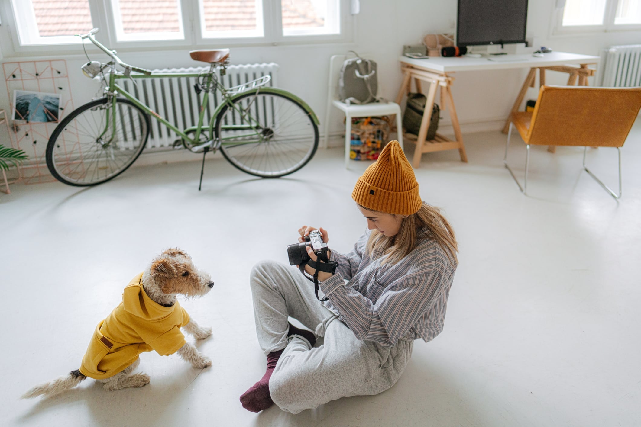 Ways to Make Your Dog Famous on Instagram