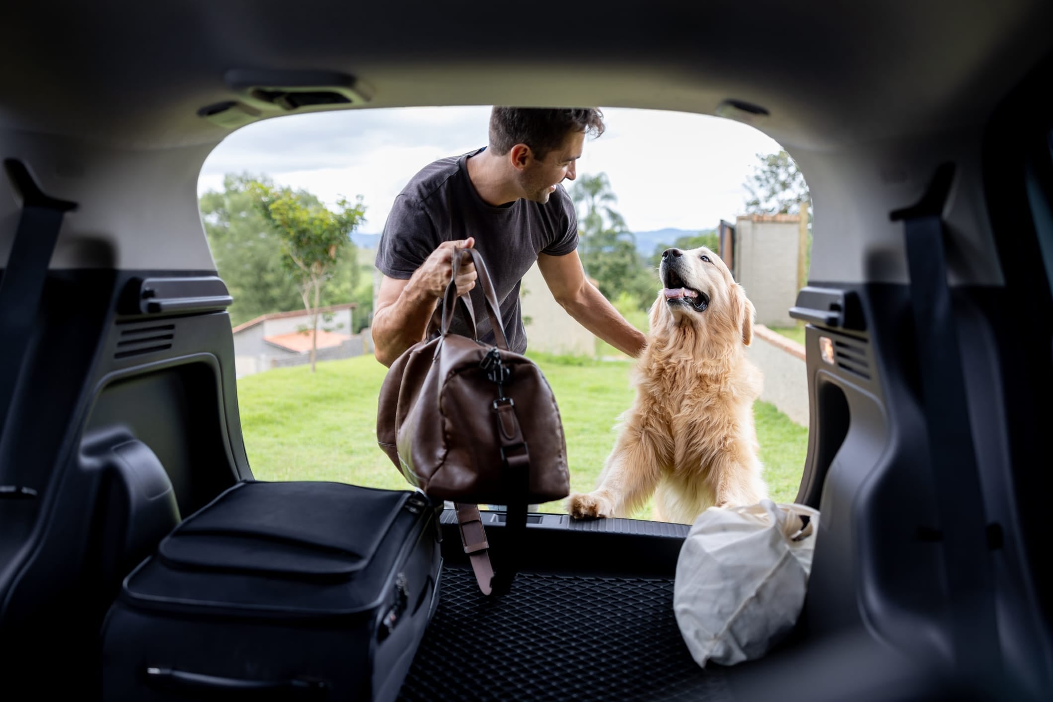 Flying with a Dog: Tips, Tricks & What You Should Know