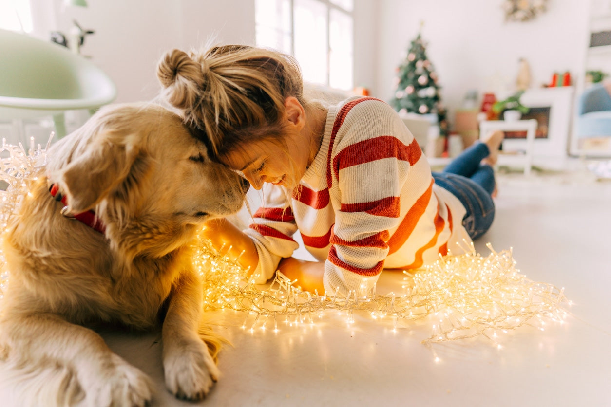 The Ultimate Holiday Gift Guide for Your Dog