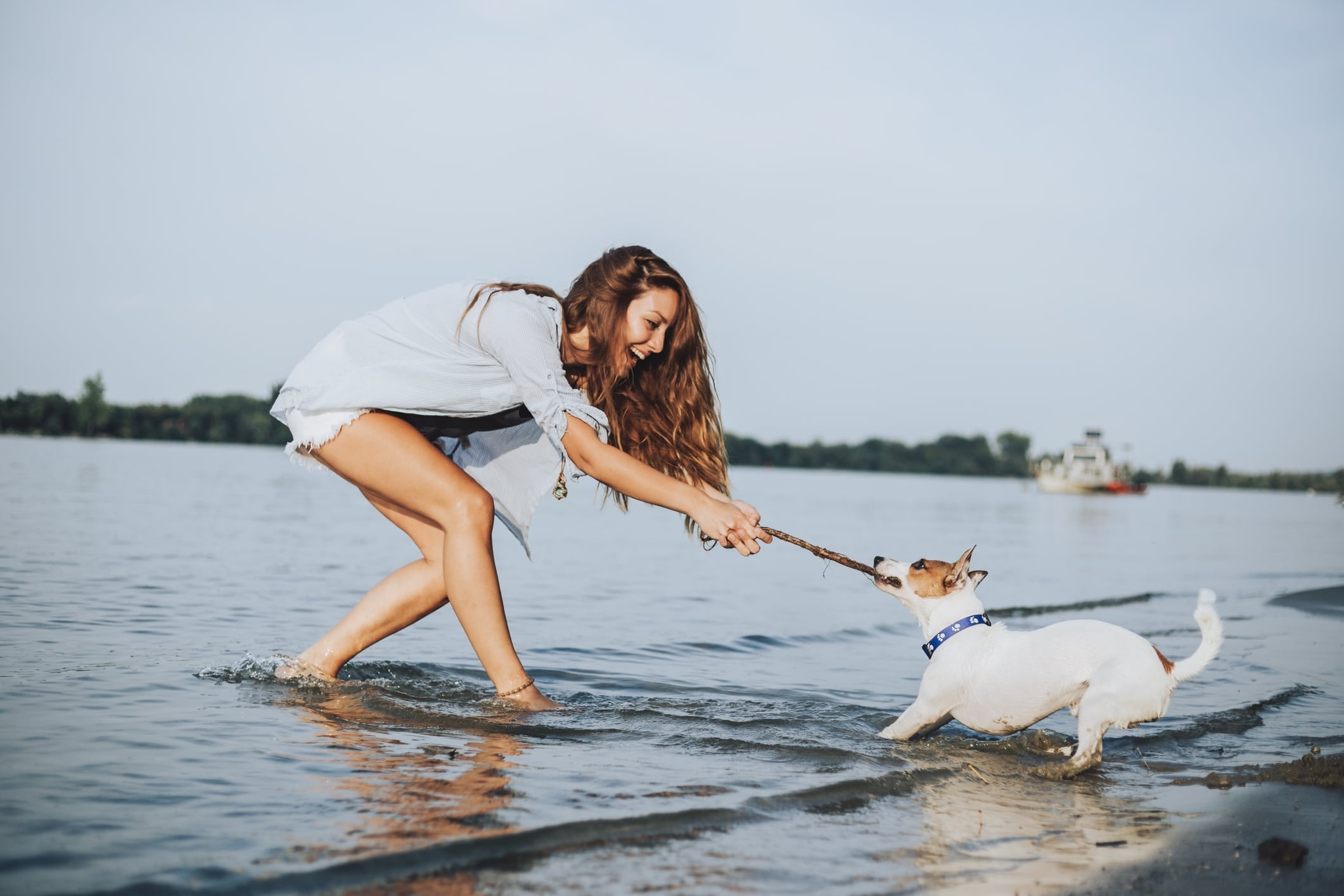 Tips for Preventing Heat Stroke in Dogs in Summers