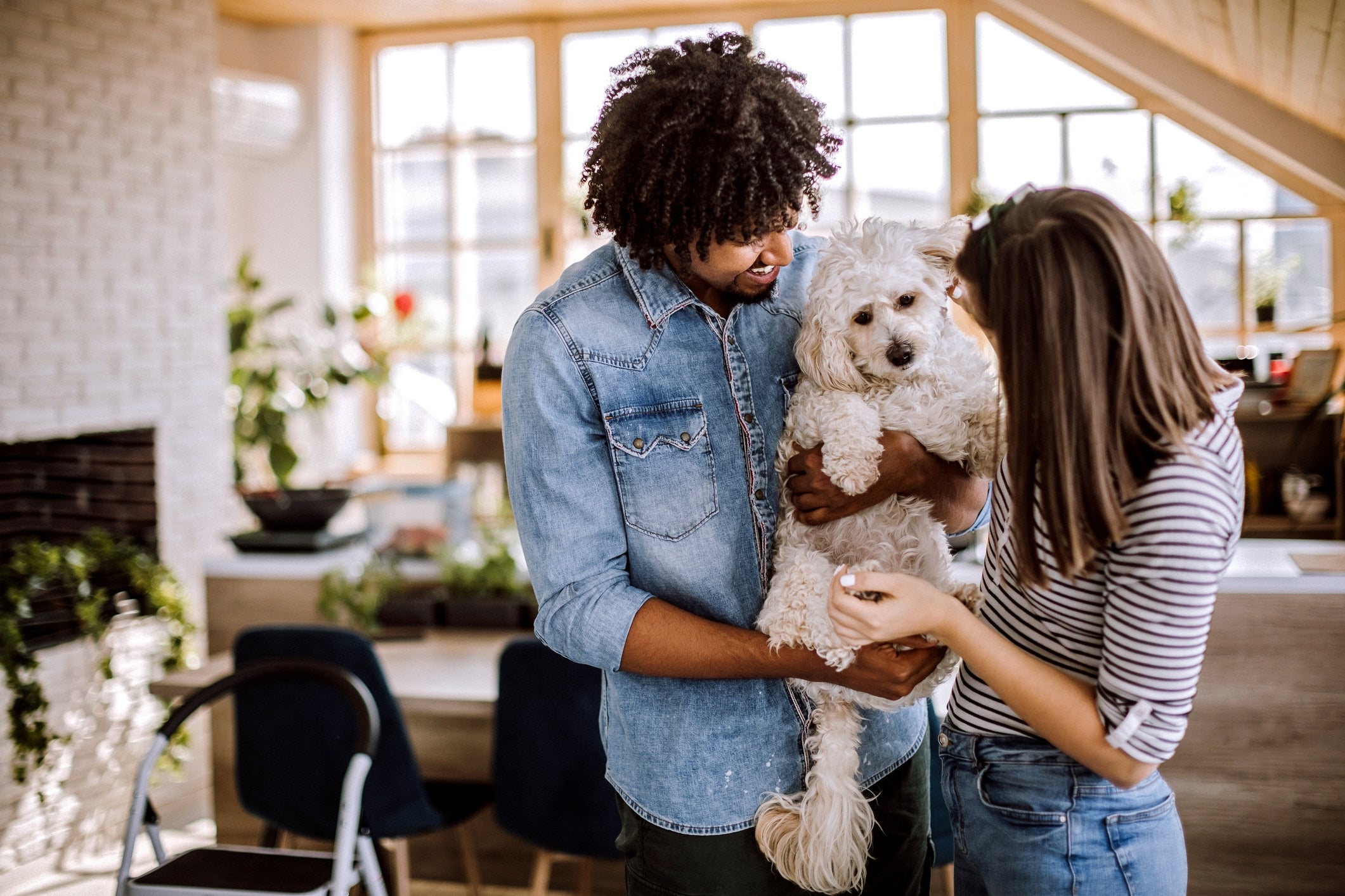 Easy and Effective Home Remedies for Dogs