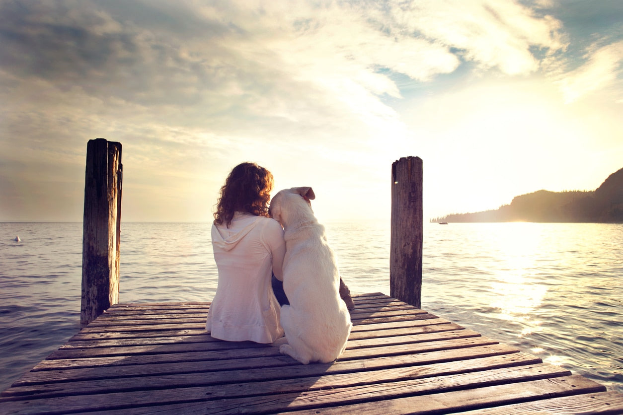 Why Humans and Dogs Love Each Other So Much