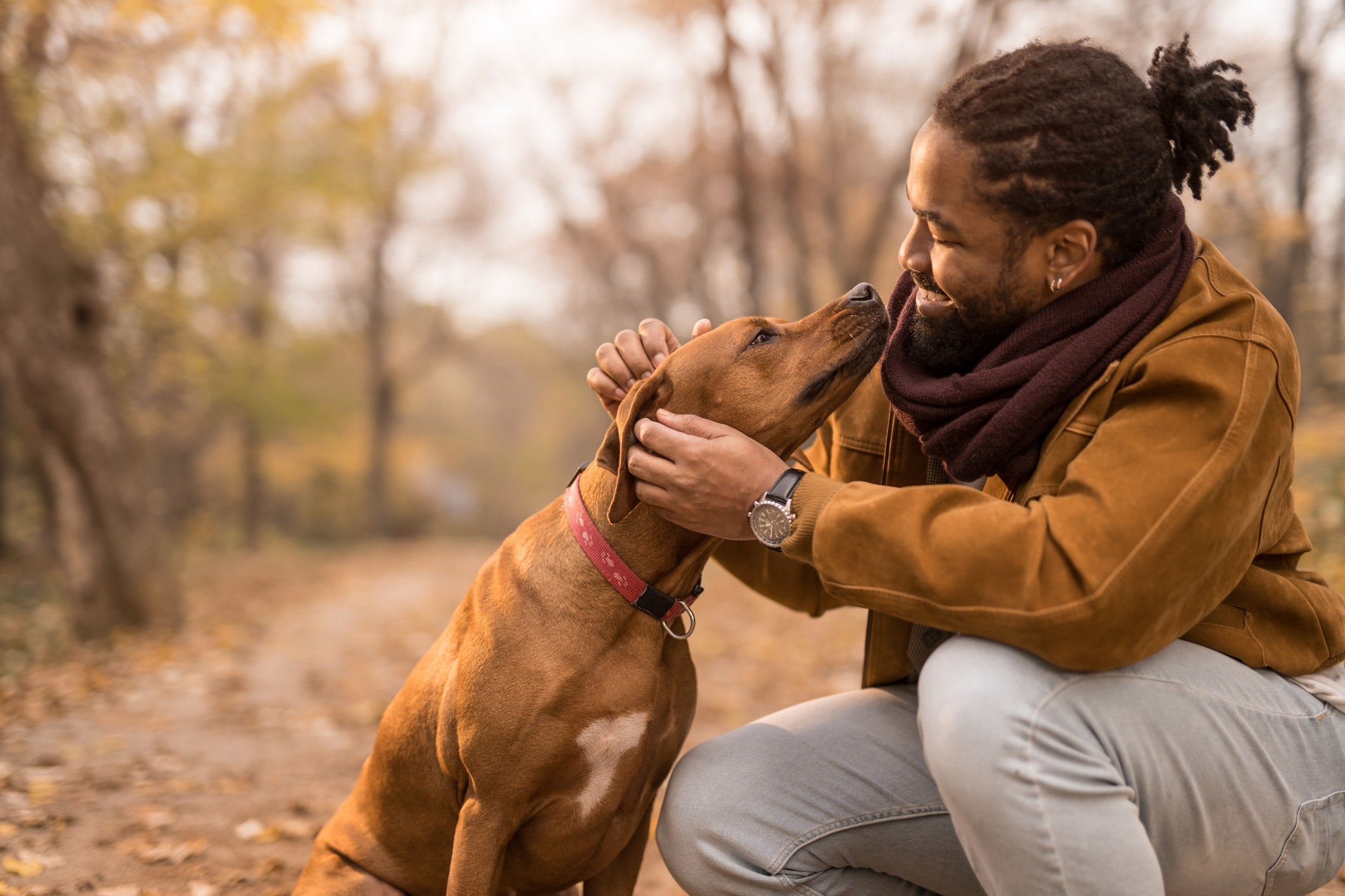 The Chemistry Between Humans and Dogs