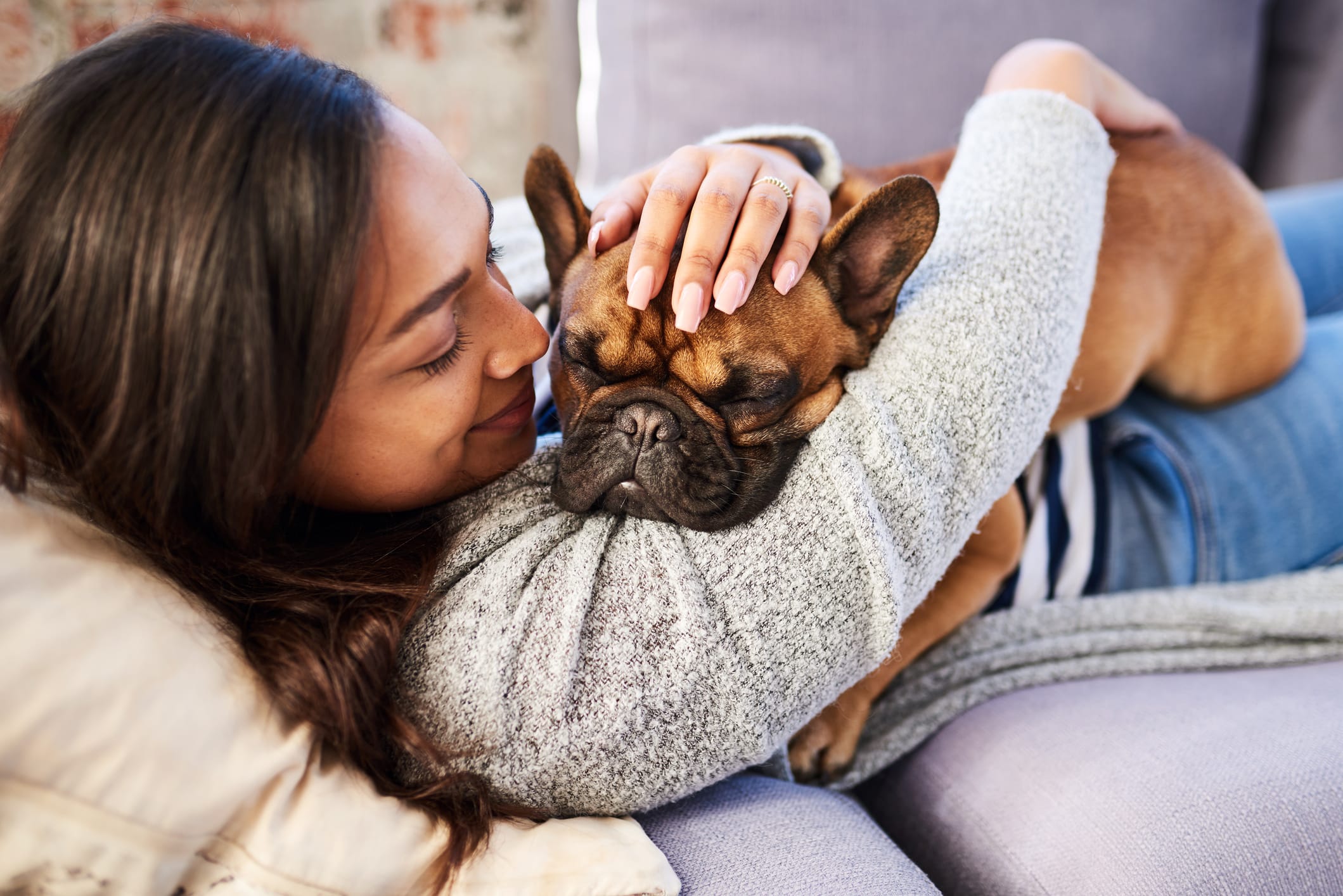 6 Natural Remedies for Your Itchy Dog