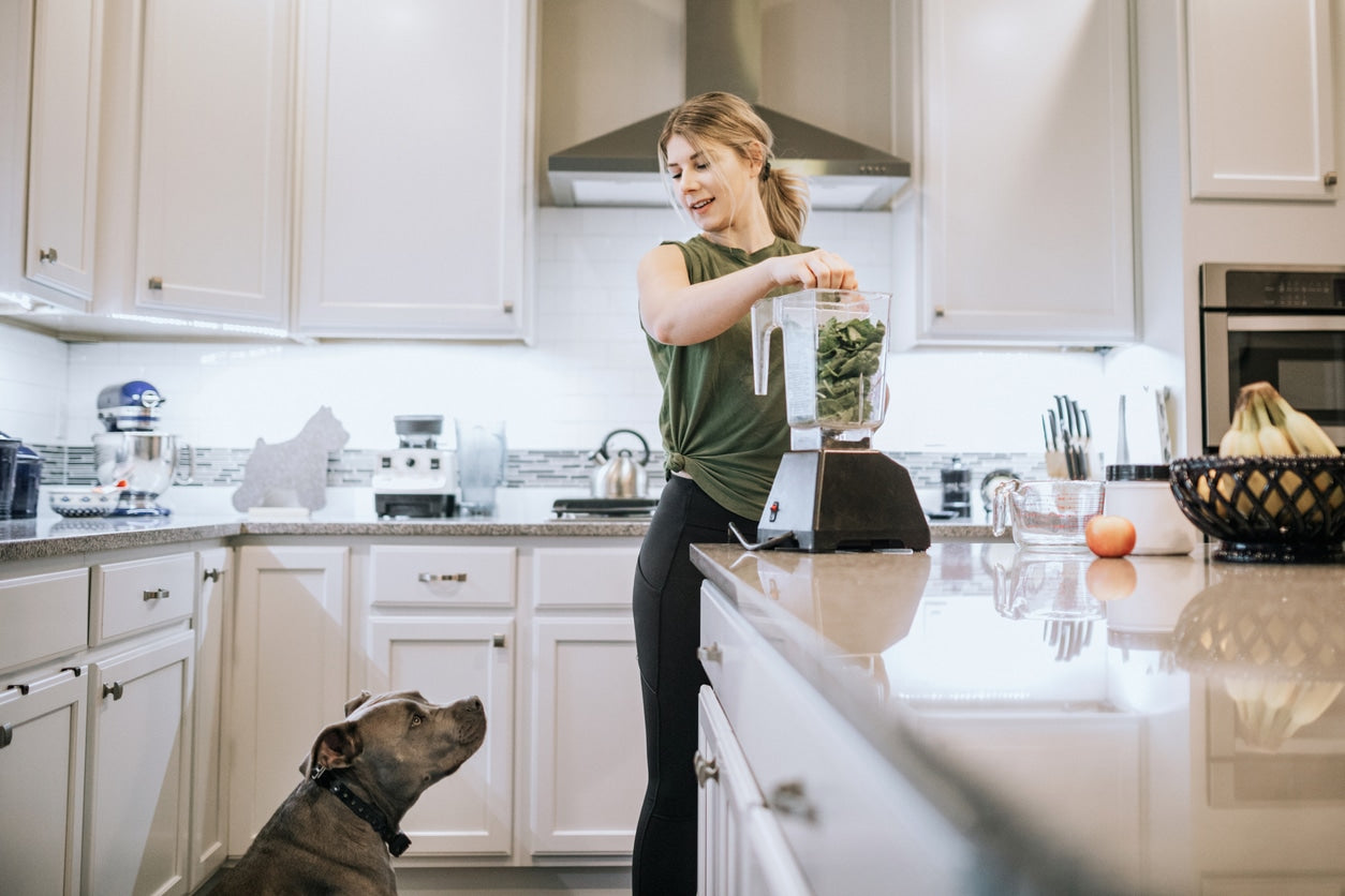 7 Things You Can Do to Keep your Dog Healthy