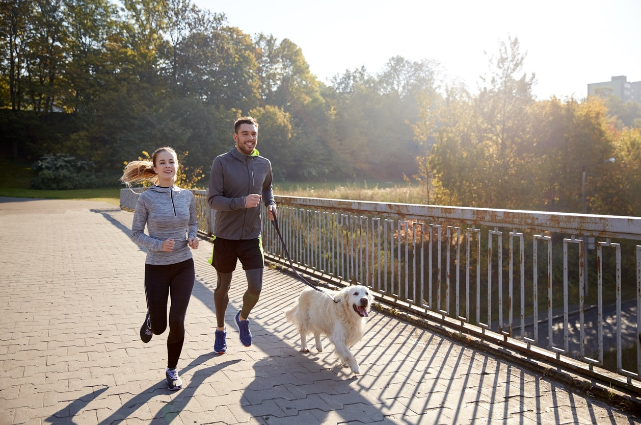 10 Ways in Which Your Dog is Keeping You Fit and Healthy