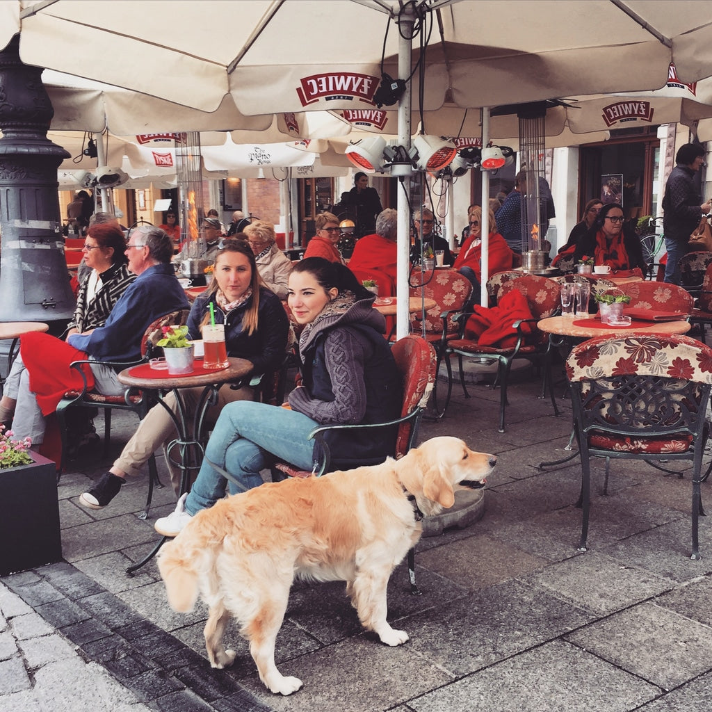 Two woman with the Labrador Retriever at a cafe