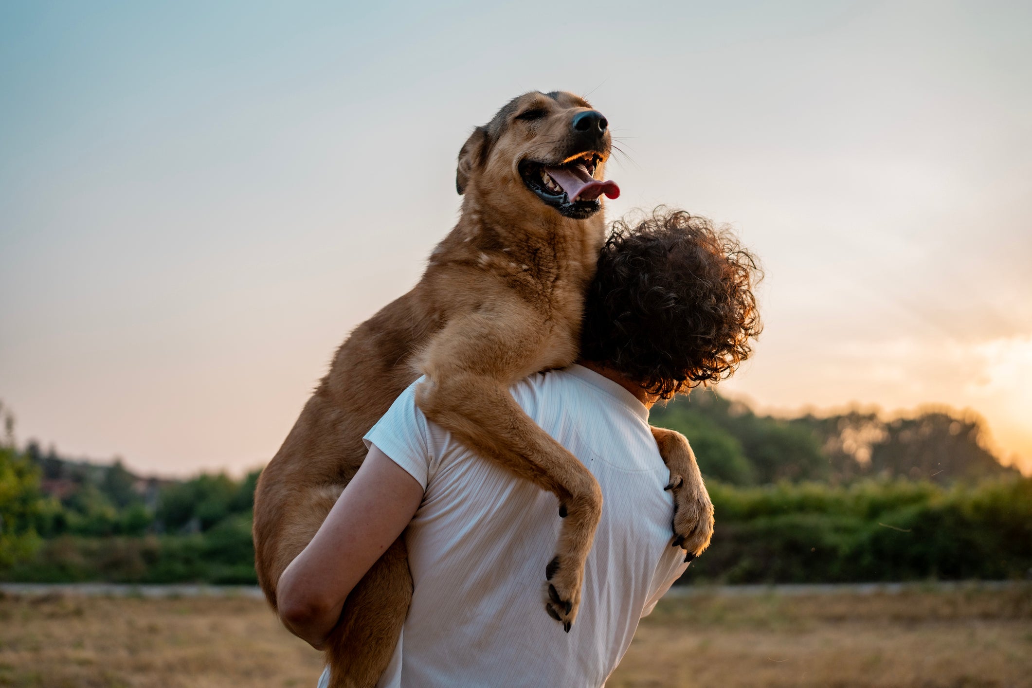 Exciting Pet Businesses to Start Today