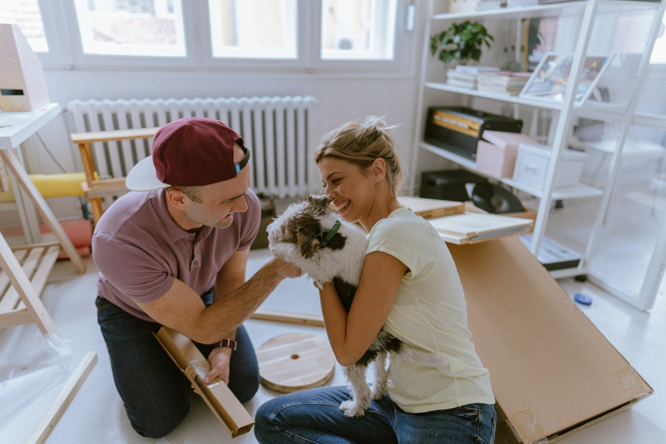 New Canine Parents Guide: 7 Things to Put on Your Shopping Cart