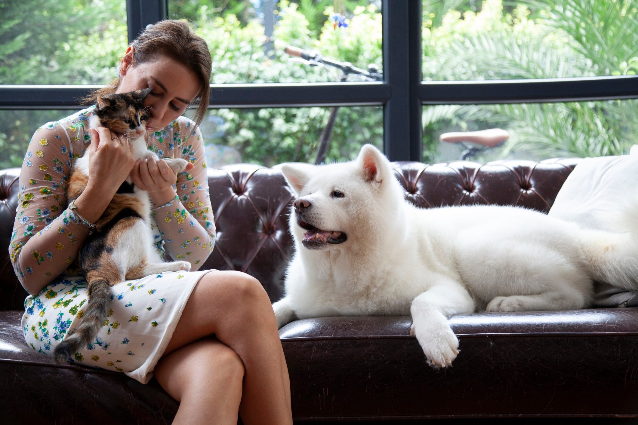 Hiring a Pet Sitter for the Holidays