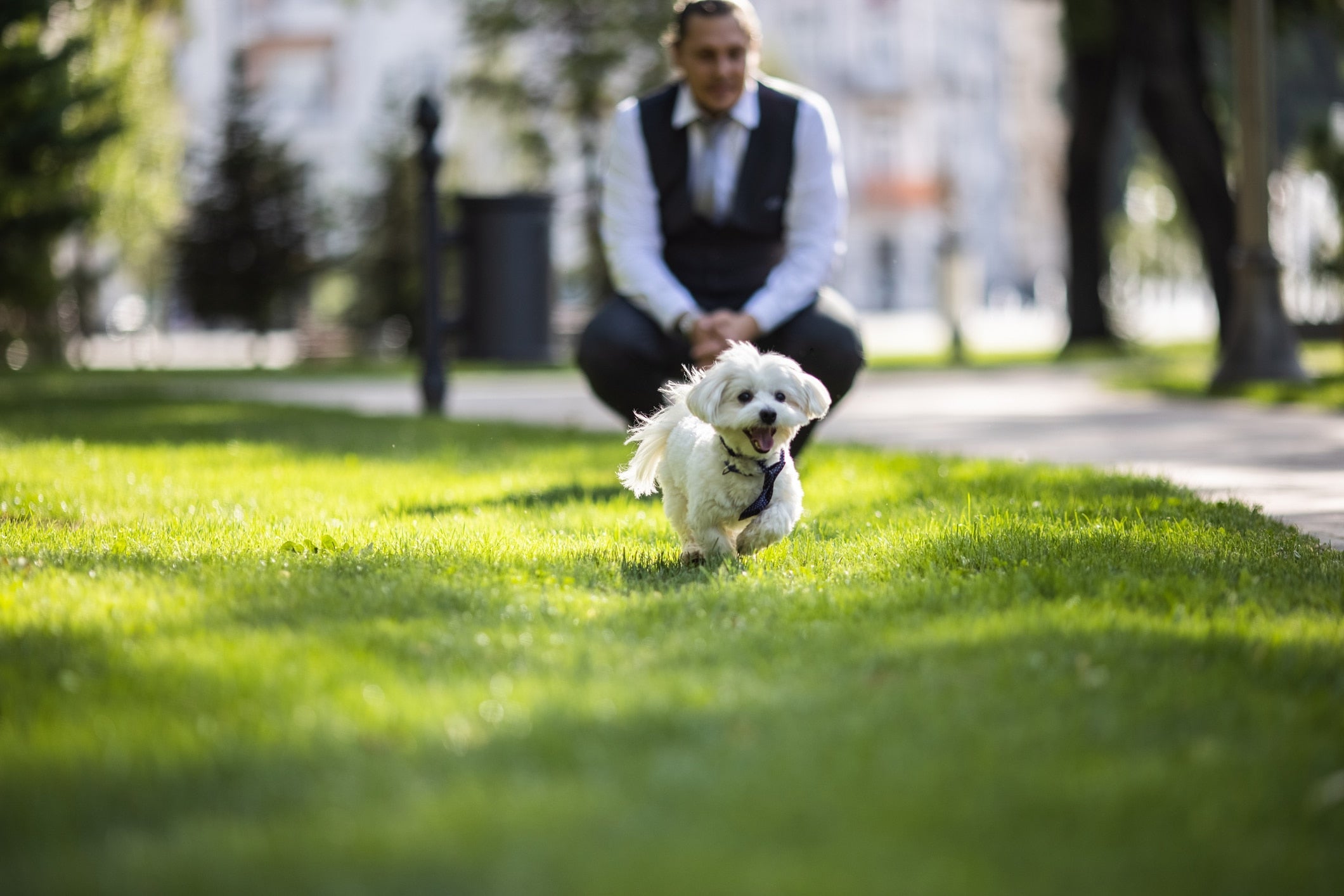 Running With Your Dog: 8 Tips to Get Started