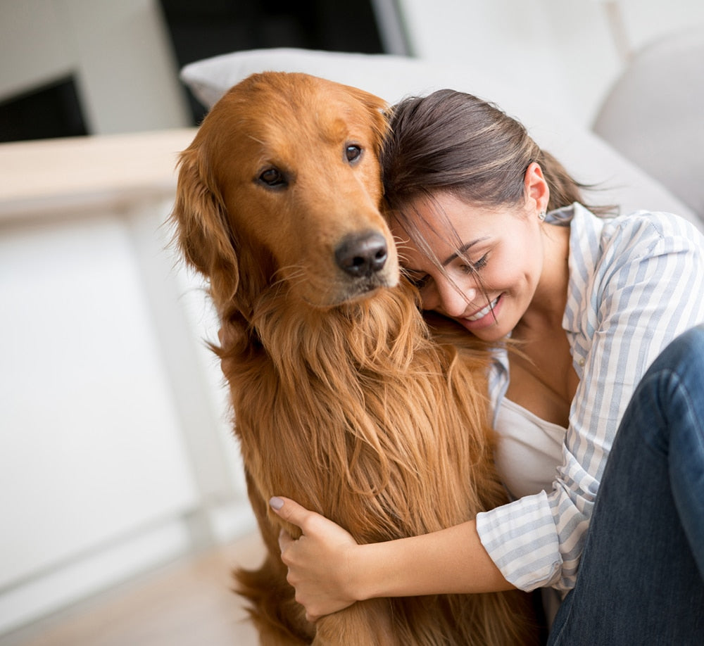 How to Save Your Furniture from Your Dog