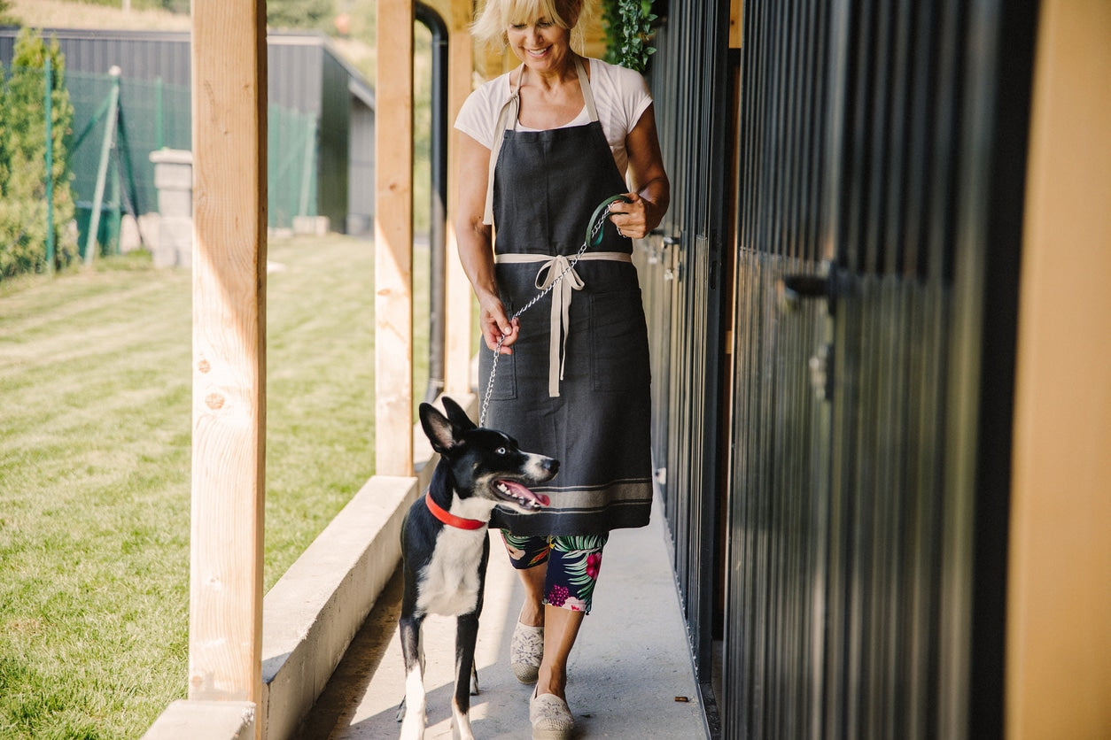 How to Train a Shelter or Rescue Dog