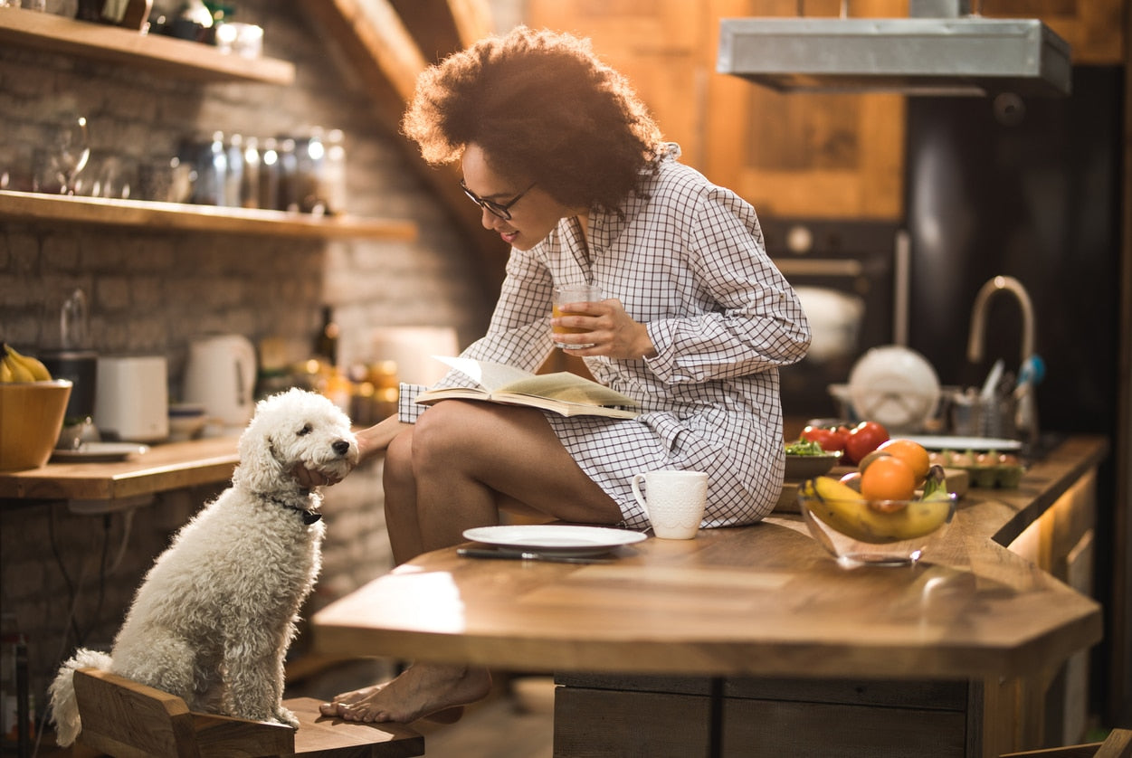 What Vegetables Can Dogs Eat? A List of Healthy and Potentially Harmful Veggies for Dogs