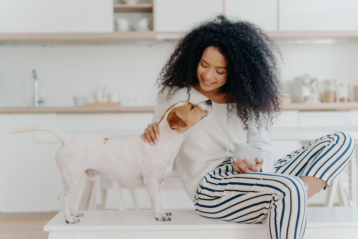 7 Ways Your Dog Communicates With You