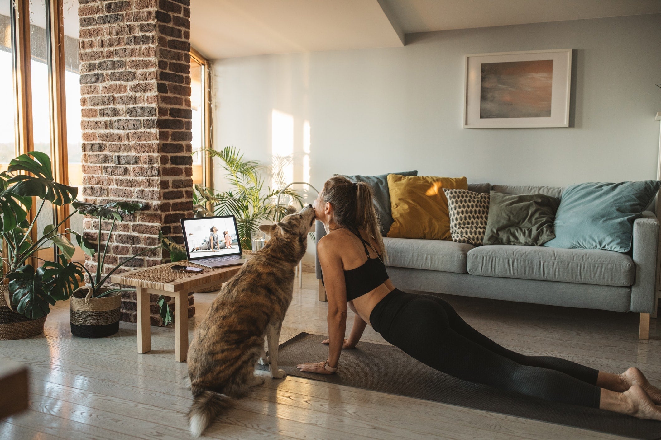 Your Dog as Your Workout Buddy