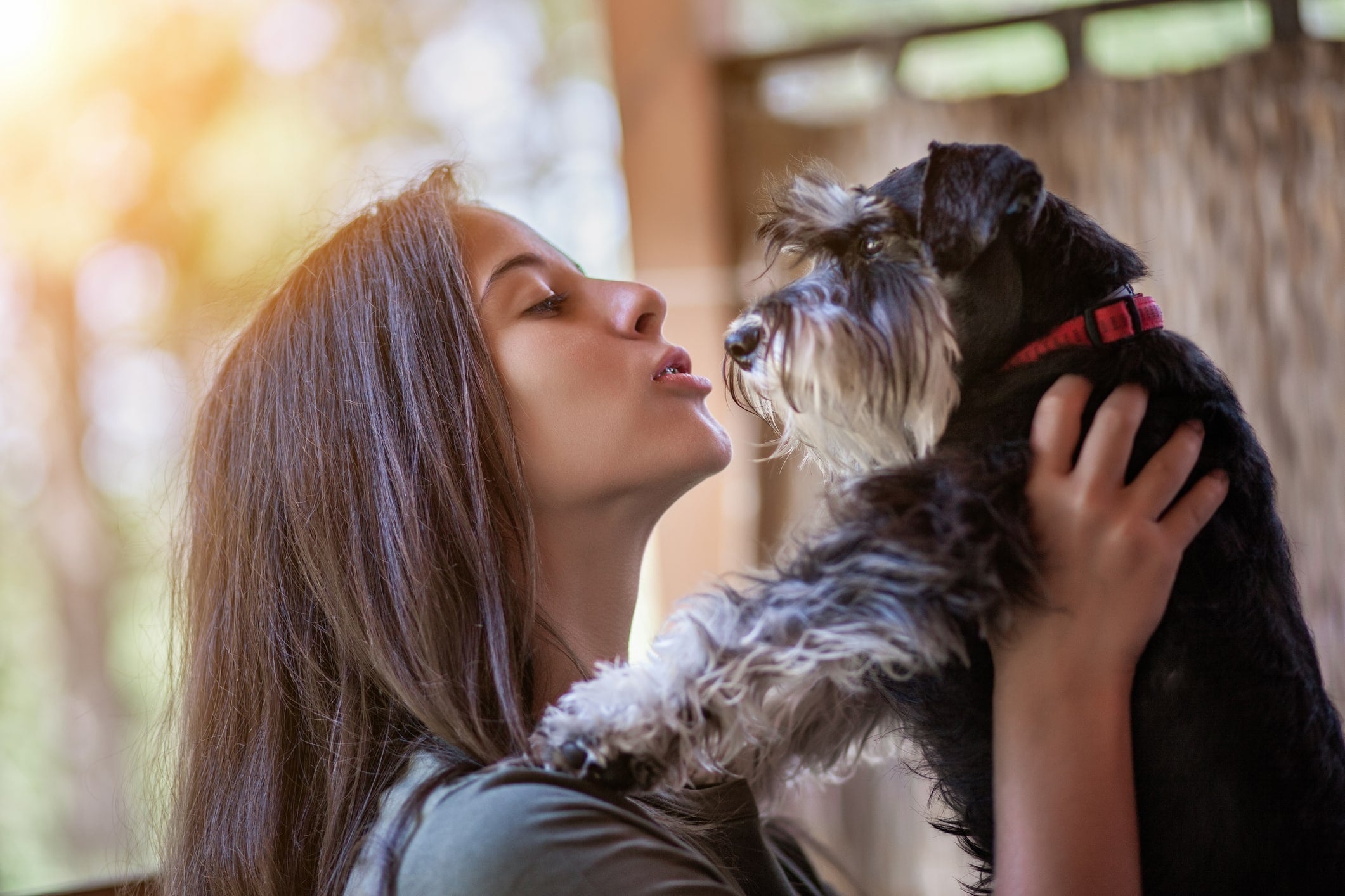 5 Tips for Your First Dog Show