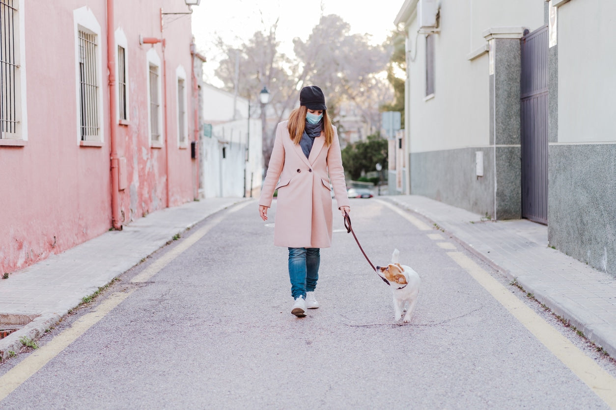 Pets and COVID-19: What Dog Owners Need to Know
