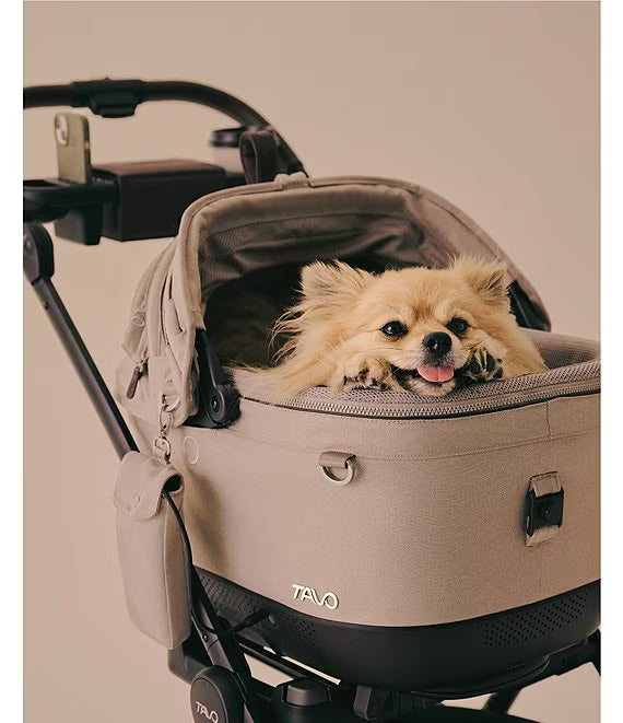 Tavo Pets