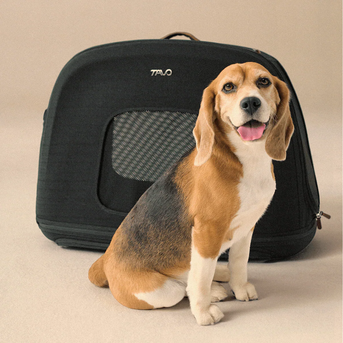Dog Crates