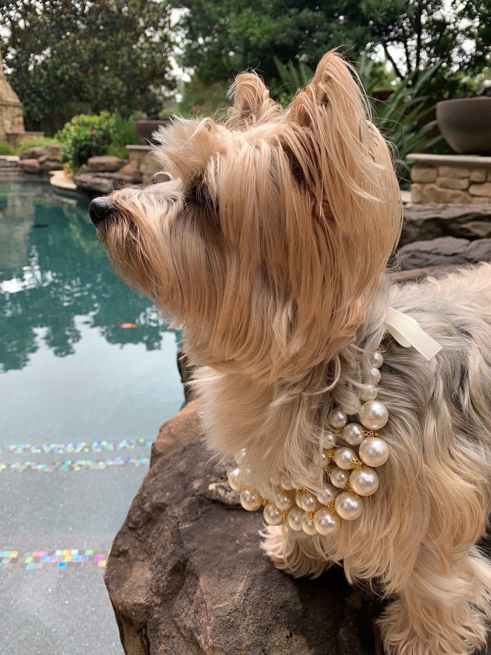 Sun Glasses and Fashion Jewelry