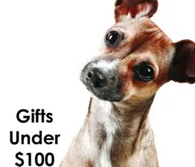 Gifts Under $100