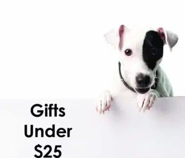 Gifts Under $25