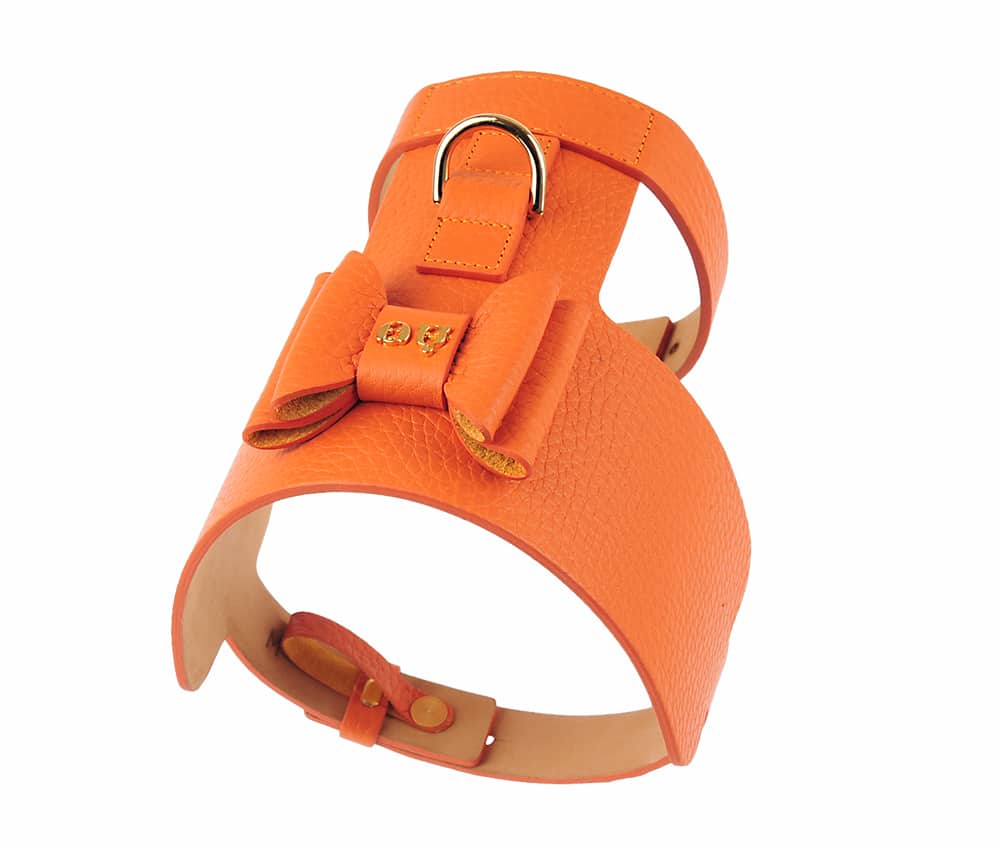 Bijou Dog Harness - Orange image 0