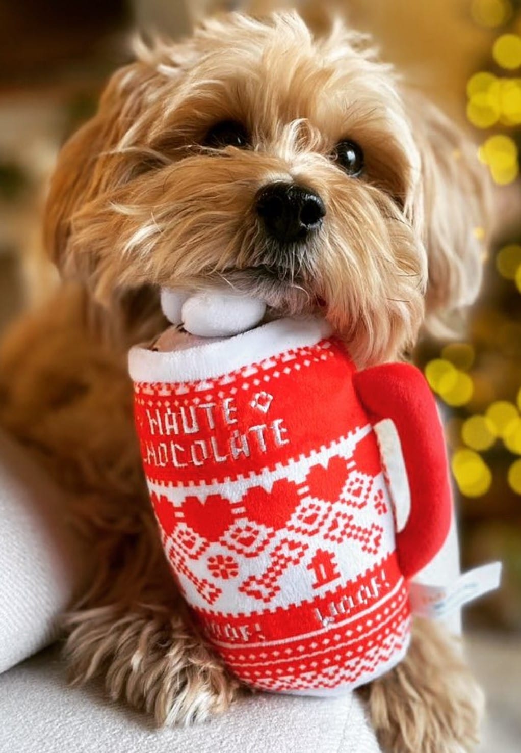 Haute Chocolate Dog Toy image 0