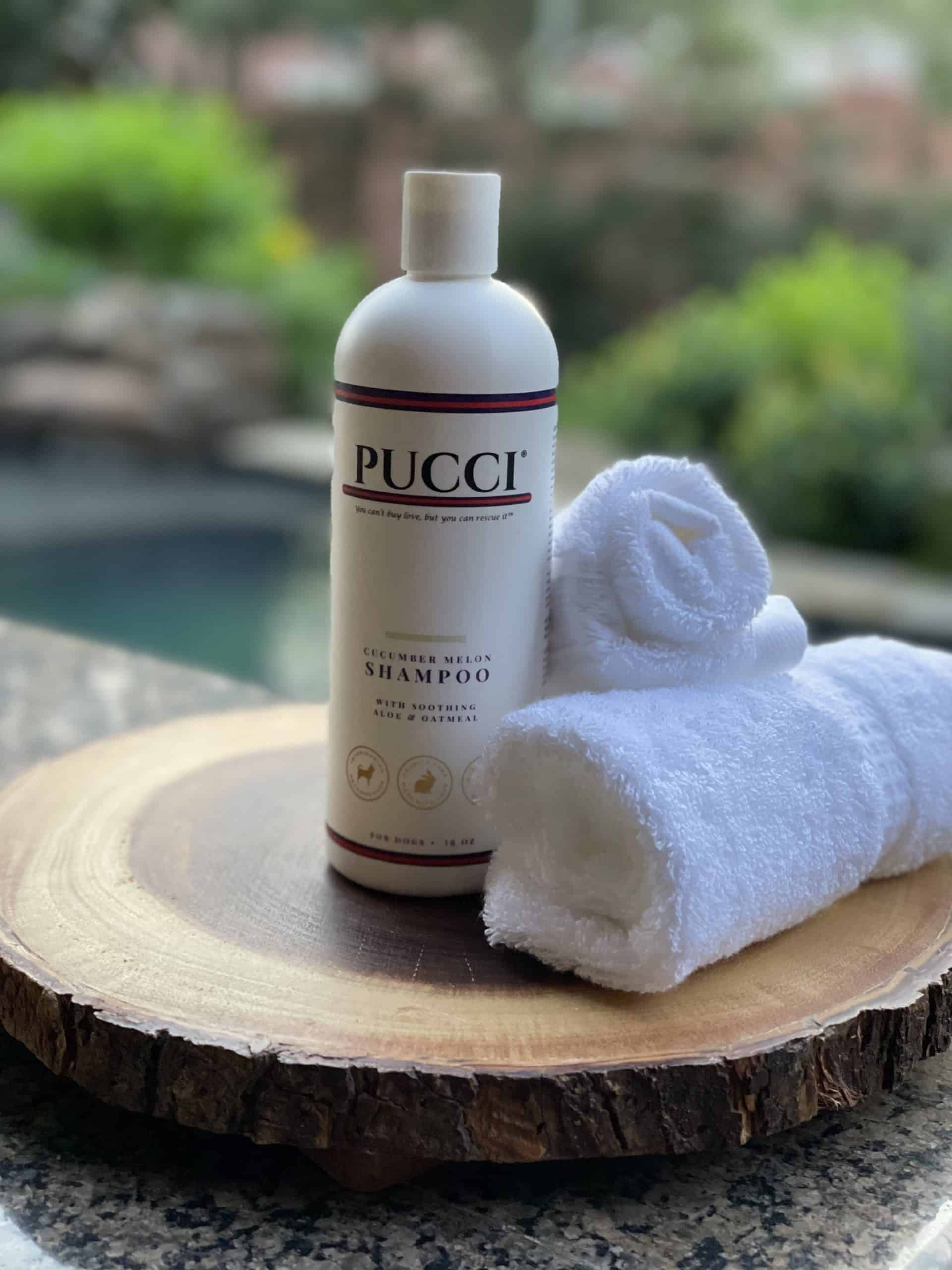 PUCCI Cucumber Melon Shampoo with soothing Aloe & Oatmeal for Dogs image 0
