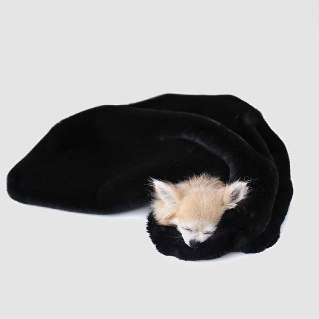 Divine Dog Blanket - Black image 0